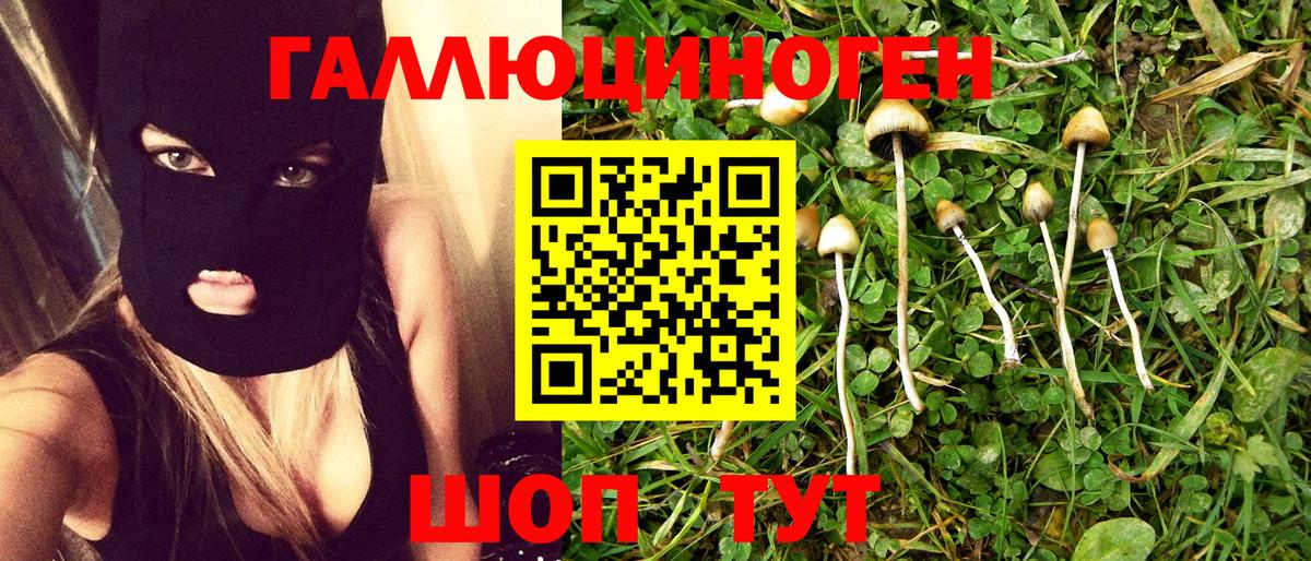 Реж  Галлюциногенные грибы мицелий  Вход с VPN 